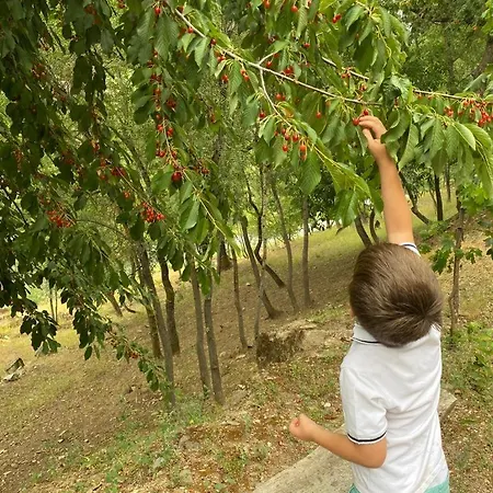 A Pontevella Boutique, Sobradelo 3* Sobradelo (Ourense)